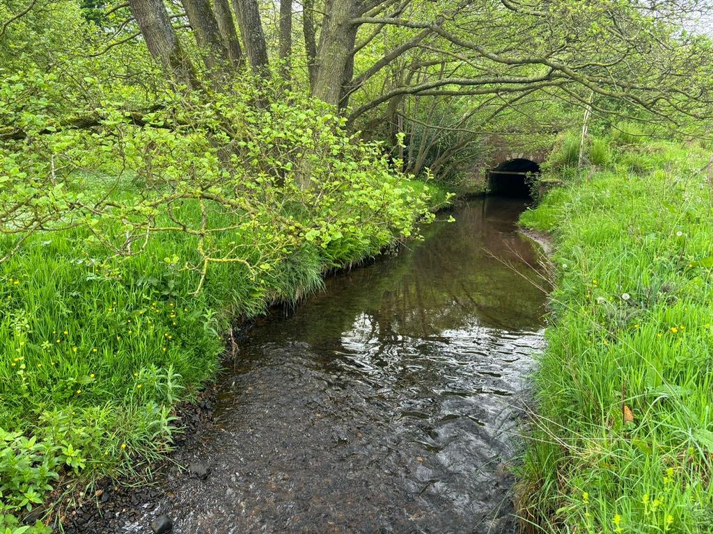Photo 2024 06 05 11