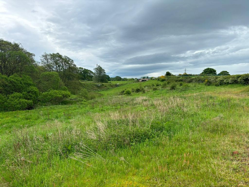 Photo 2024 06 05 11