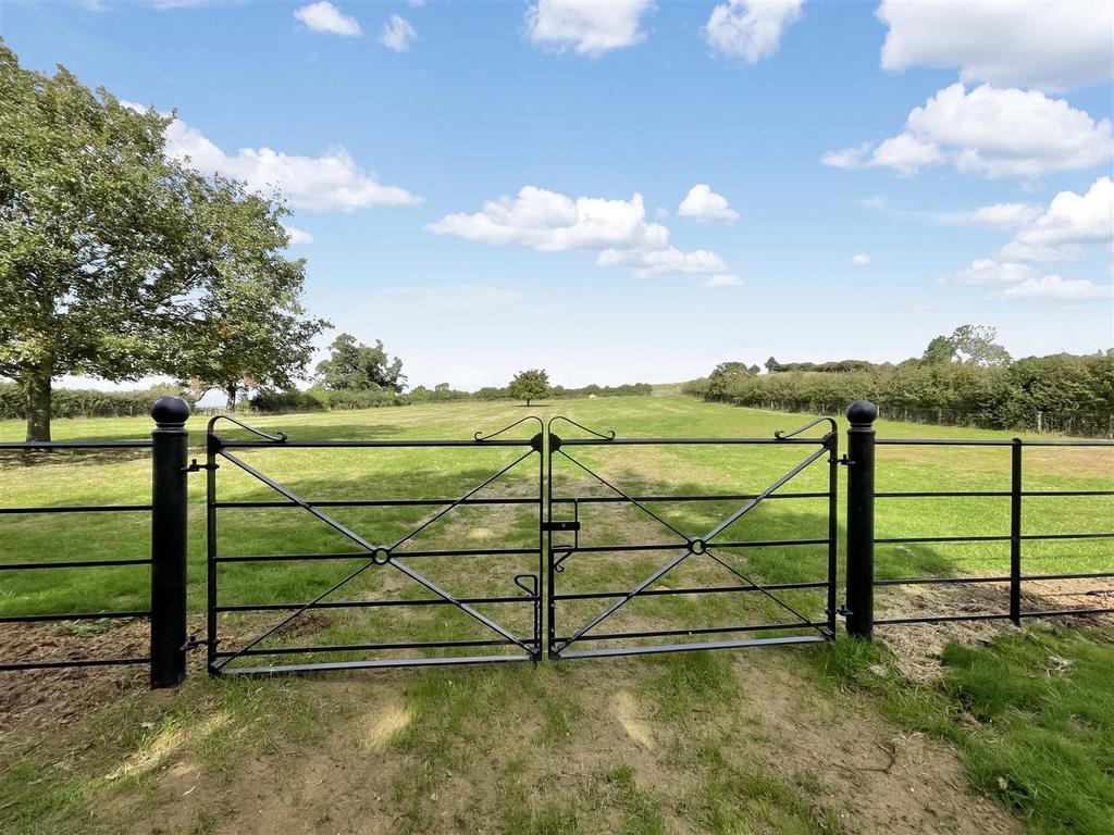 Field views