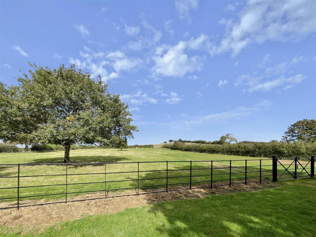Field views