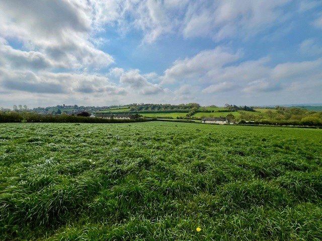 Belstone View