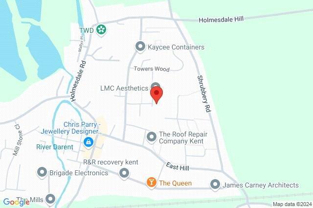Google Maps Image