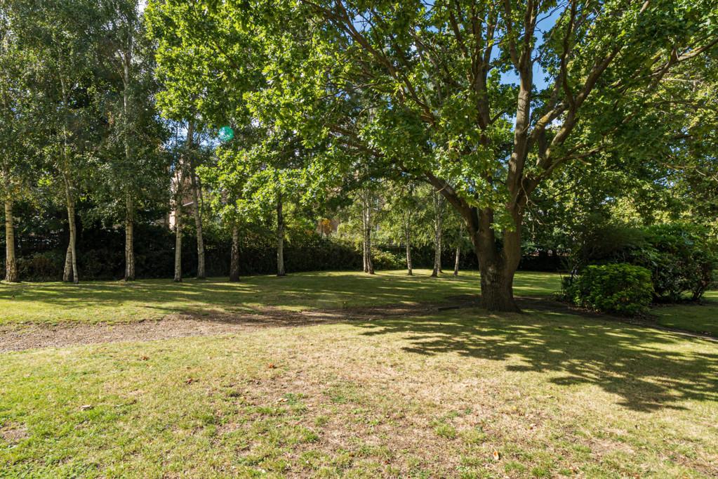 Communal Garden