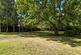 Communal Garden