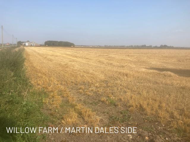 Martin dales side3.png