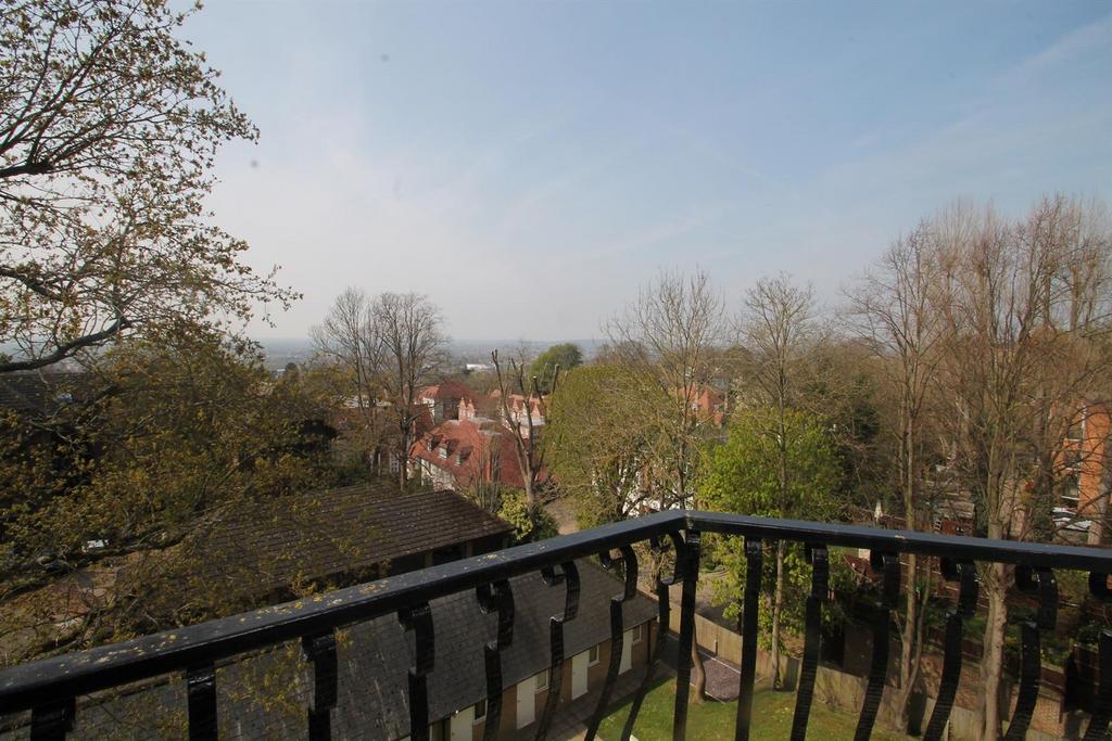 Img 2596.jpg