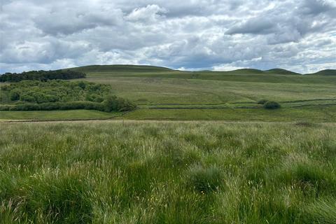 Land for sale, Haltwhistle, Northumberland, NE49