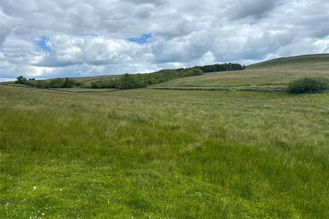 Land for sale, Haltwhistle, Northumberland, NE49