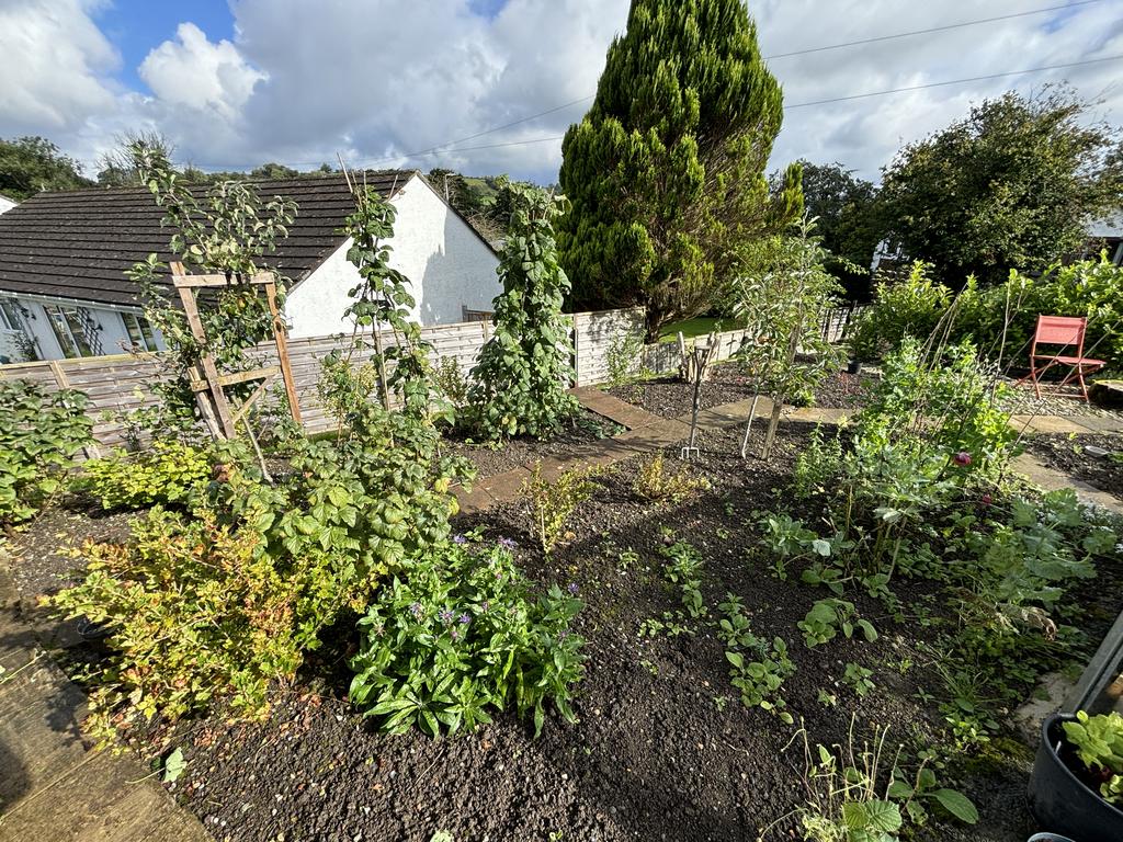 Front garden (third image)