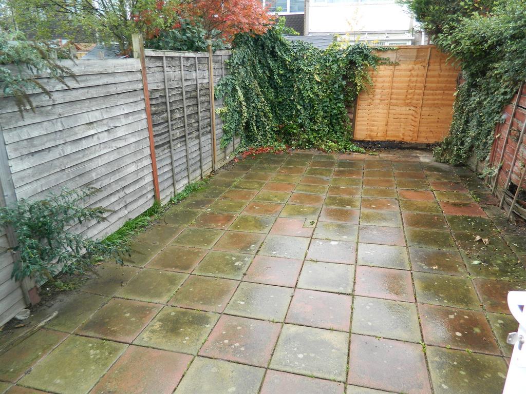 Rear patio garden