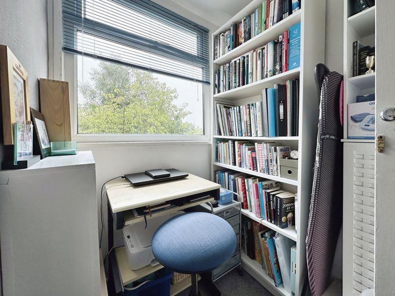 Study Area