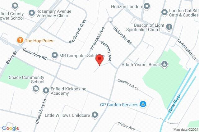 Google Maps Image