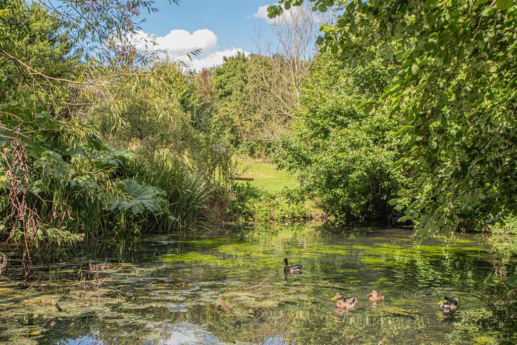 Nature Reserve