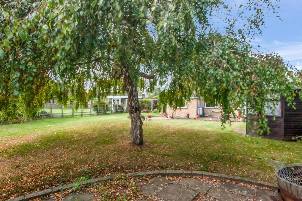 Garden 2.jpg