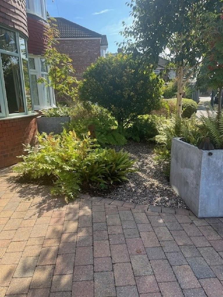 Front Garden &amp; Drive