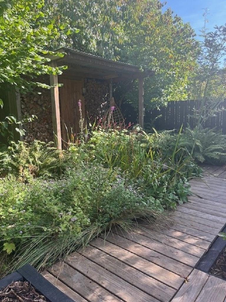 Garden Photo