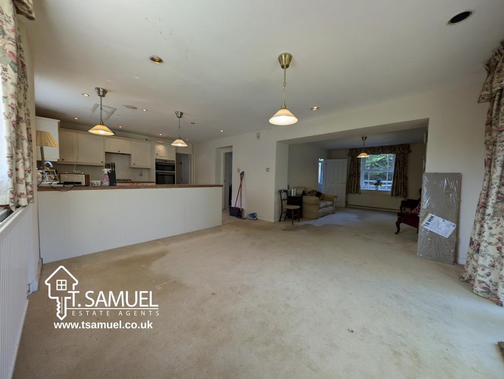 Living room and kitchen