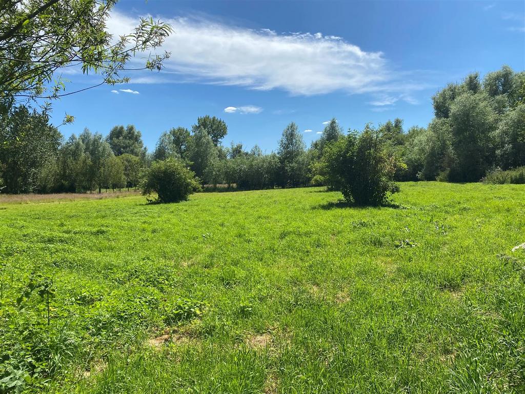 Lolas  Meadow