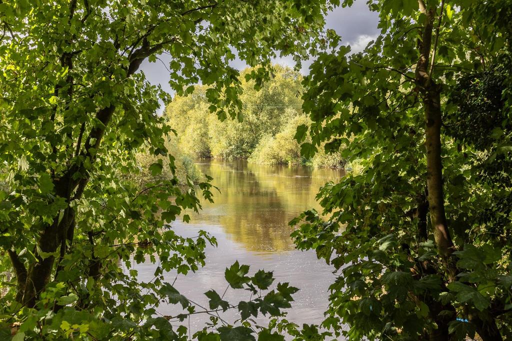 River View