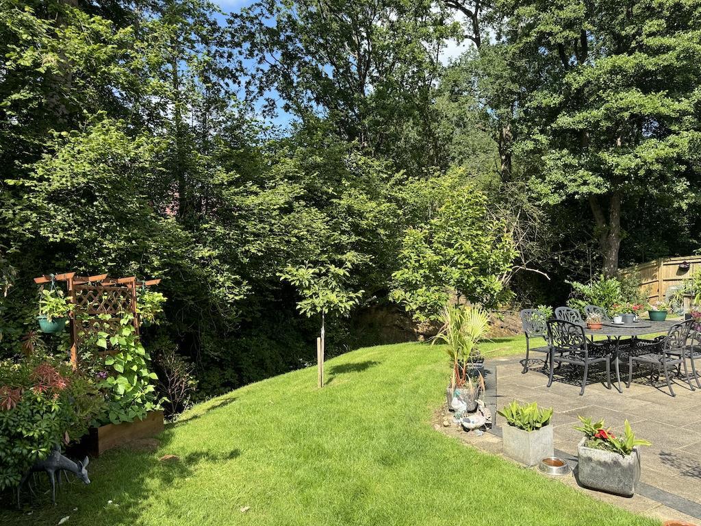 13 - Views to Woodland.jpg