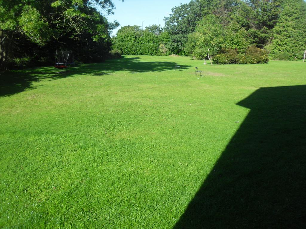 Communal garden