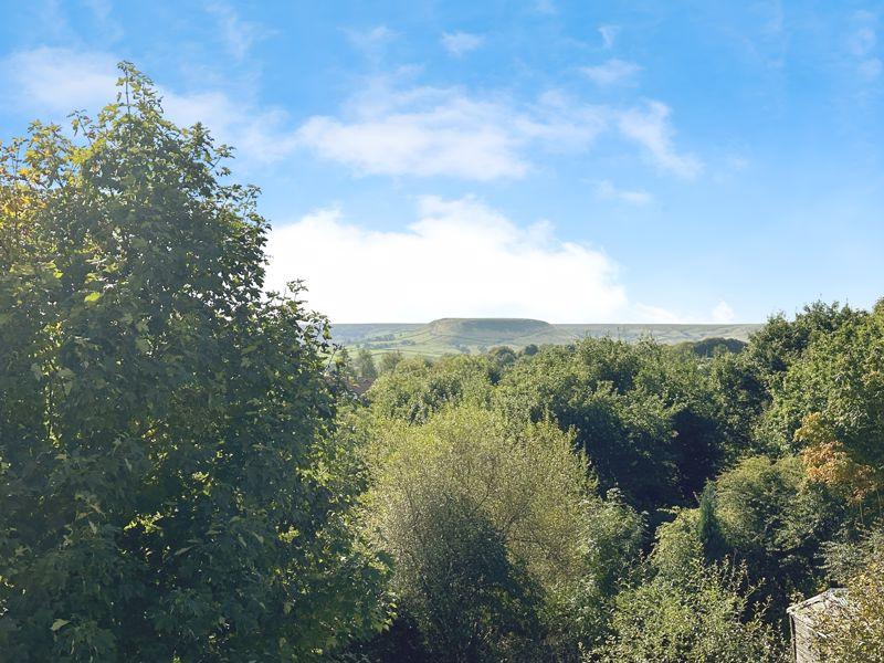 View from Attic