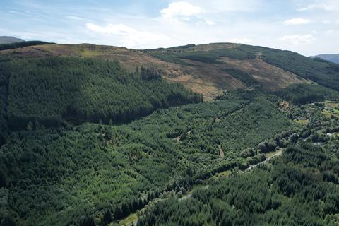 Woodland for sale, Leitters Forest, Near Balquhidder, Stirlingshire FK19