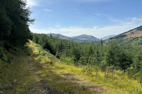 Woodland for sale, Leitters Forest, Near Balquhidder, Stirlingshire FK19