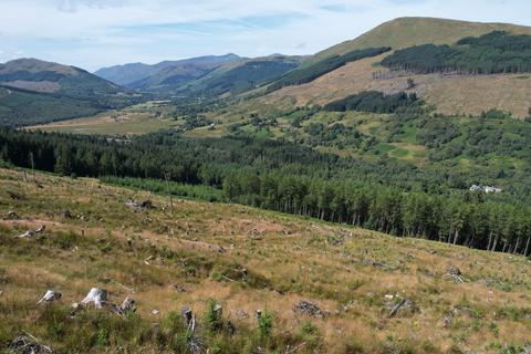 Woodland for sale, Leitters Forest, Near Balquhidder, Stirlingshire FK19