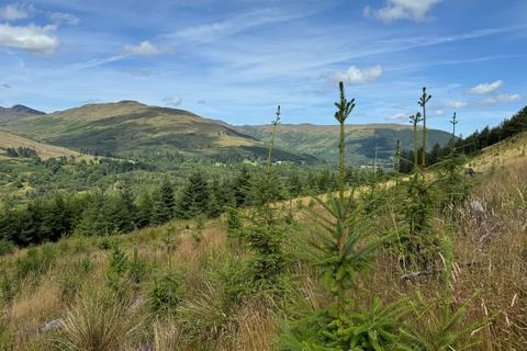 undefined, Leitters Forest, Near Balquhidder, Stirlingshire FK19