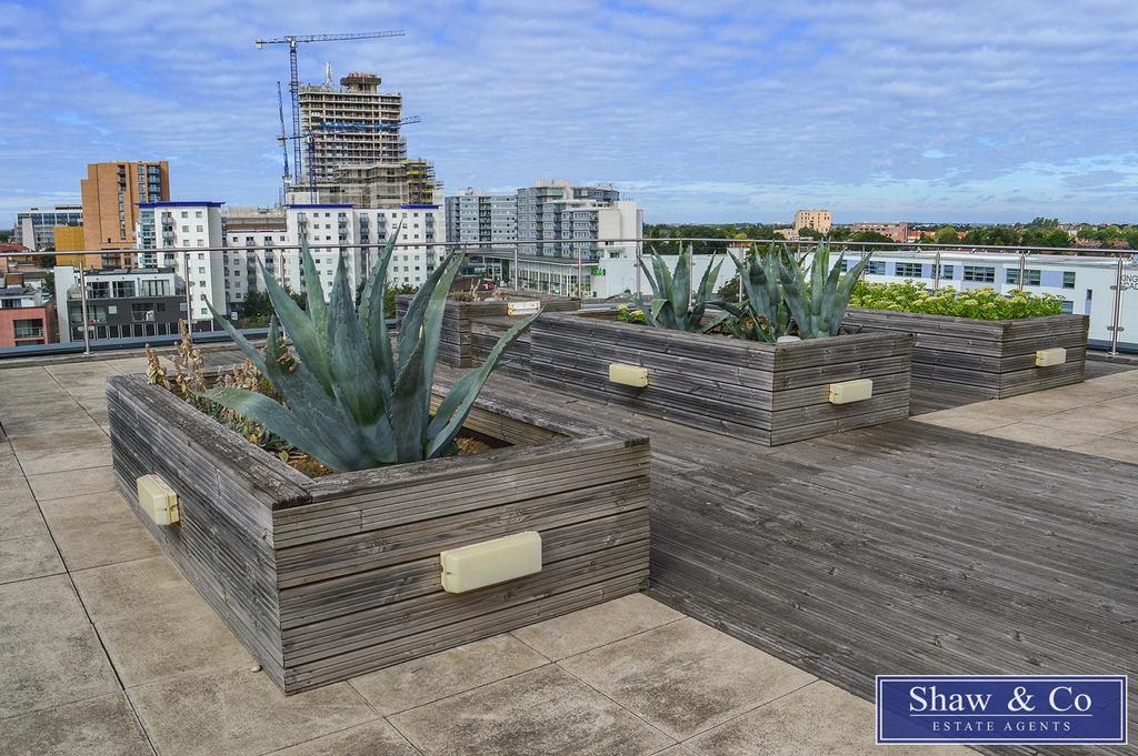 SC00207-S-terrace-LEAVE SKY copy.jpg