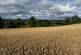 Additional image 2 of Alveley, Bridgnorth, WV15 6EP