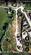 Additional image 10 of Pant-Y-Dwr, Rhayader