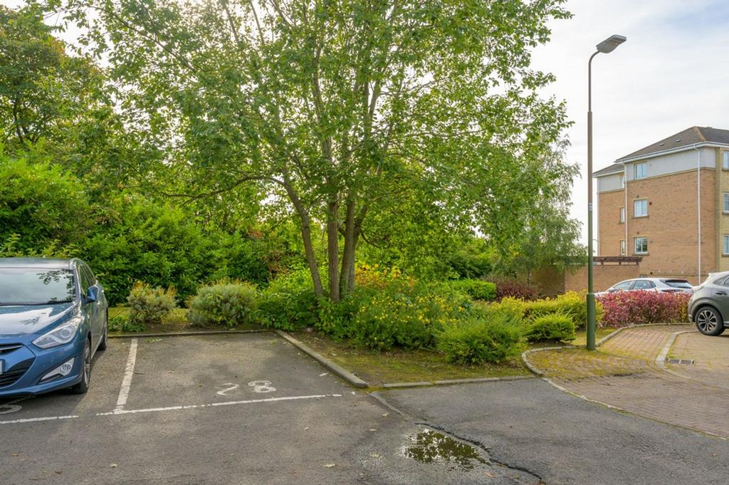 Parking Space
