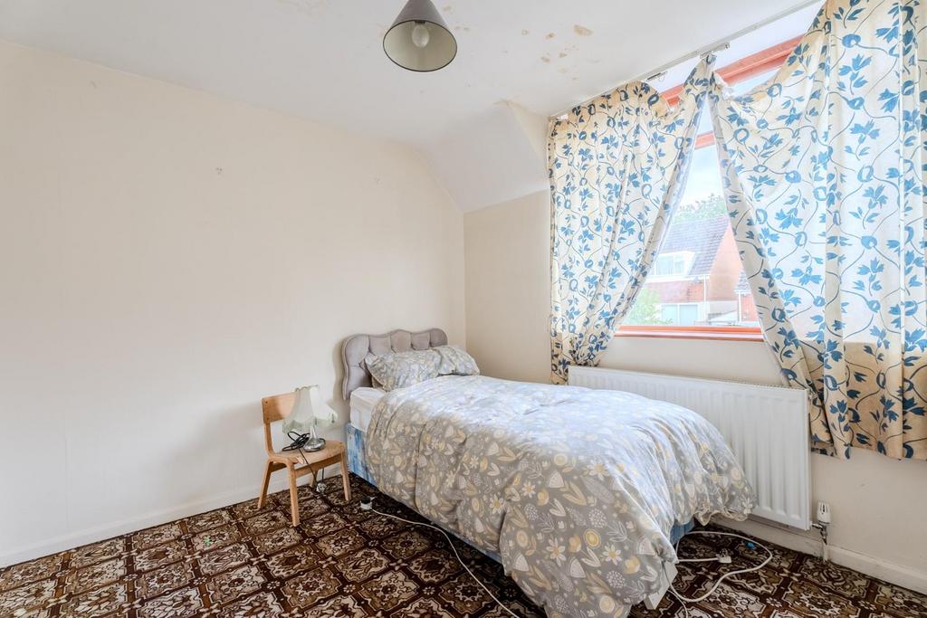 Tern Close-3.jpg