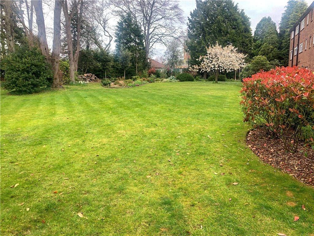 Communal Grounds