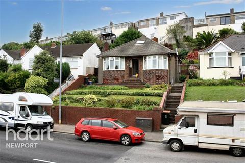 3 bedroom bungalow to rent, Chepstow Road Bungalow