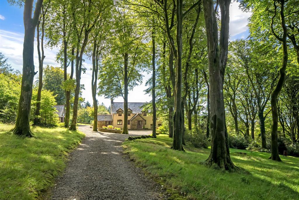 Wooded Driveway