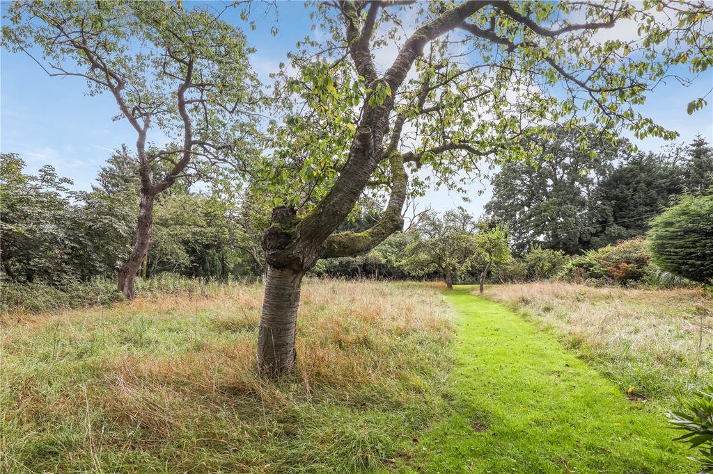 Picture No. 39