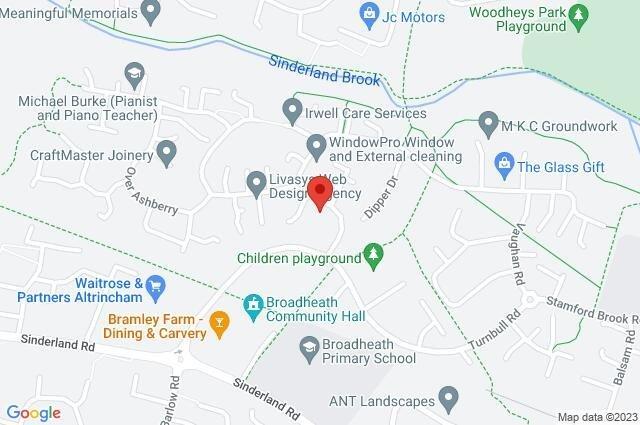 Google Maps Image