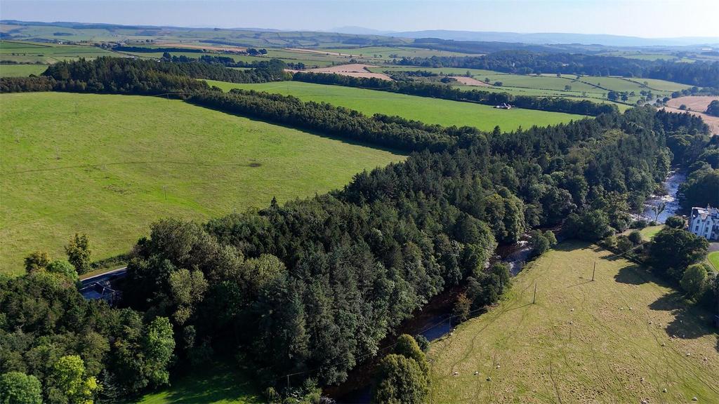 Cathcart Wood