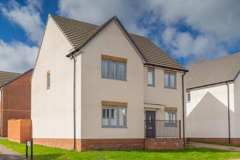 4 bedroom detached house for sale, 172, Oakford at Snowdon Grange, Chard TA20 2FR