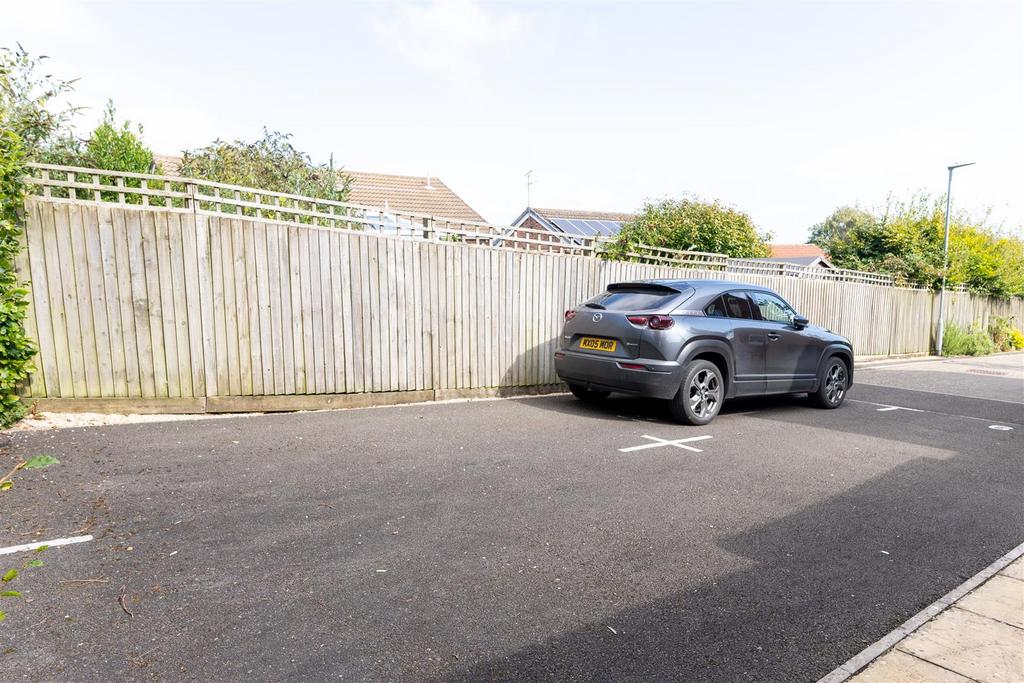 DSC01493.jpg