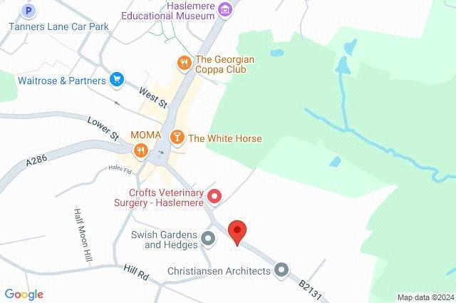 Google Maps Image