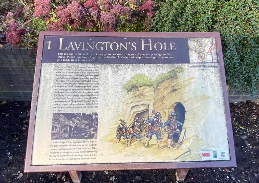 Lavington Court-11