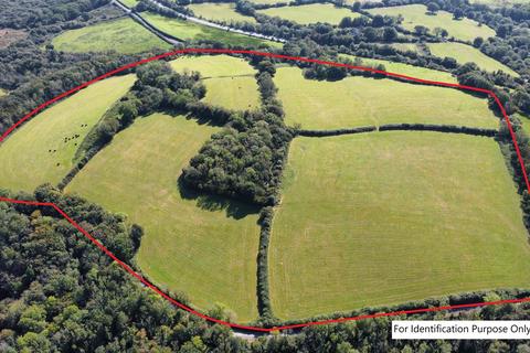 Land for sale, Llanddewi Velfrey, Narberth