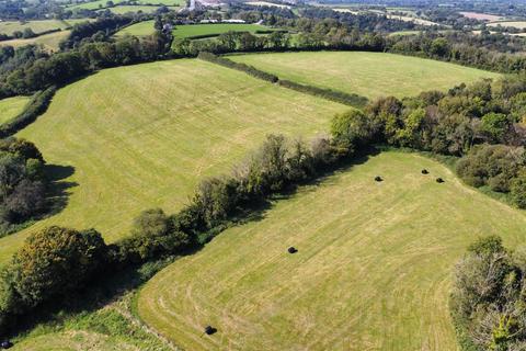 Land for sale, Llanddewi Velfrey, Narberth