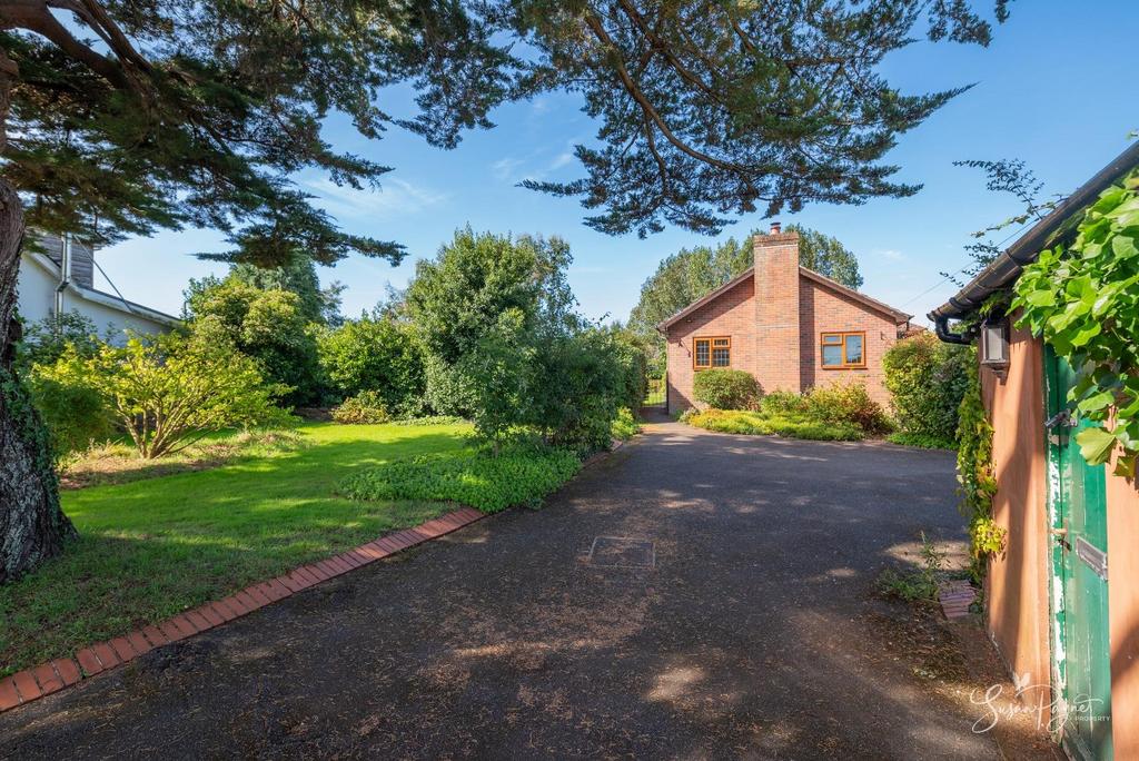 Driveway and Garage