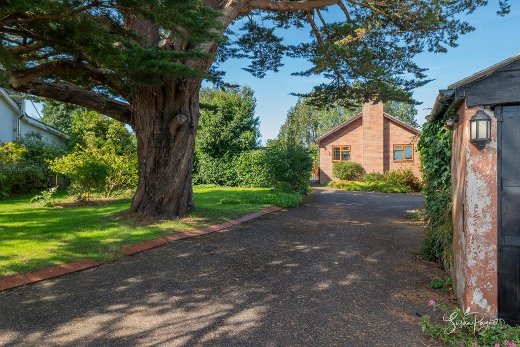 Driveway and Garage