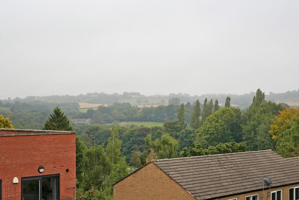 View from roof top garden